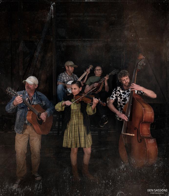 Bluegrass Alt Country Cover Band