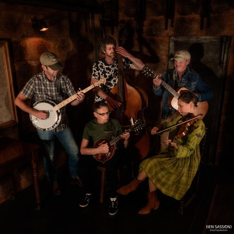 Bluegrass Alt Country Cover Band
