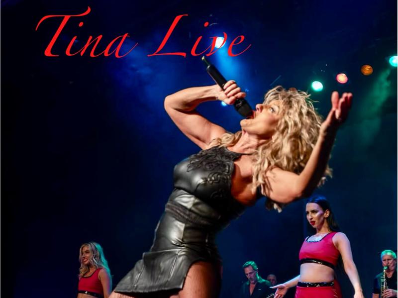 Tina live - The Tina Turner Experience